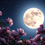 Virág-hold májusi teliholddal és virágokkal a csillagos éjszakában