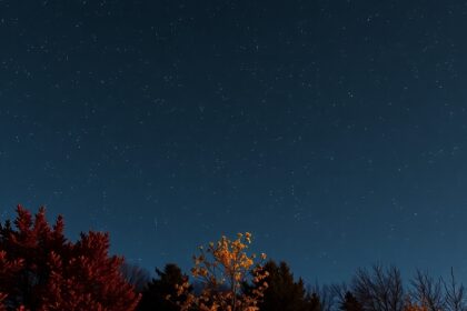 Csillagos égbolt ősszel, lenyűgöző csillagokkal és fák sziluettjével.