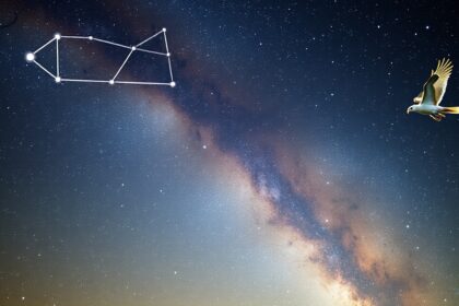 Csillagkép és madár az éjszakai égbolton