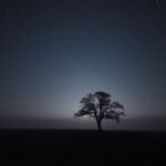 Éjjeli táj, csillagok és egy magányos fa az Umbra jelenség fényében.